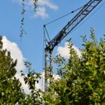 Kran zwischen den Bäumen