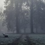 Trauer um Frank Thieme